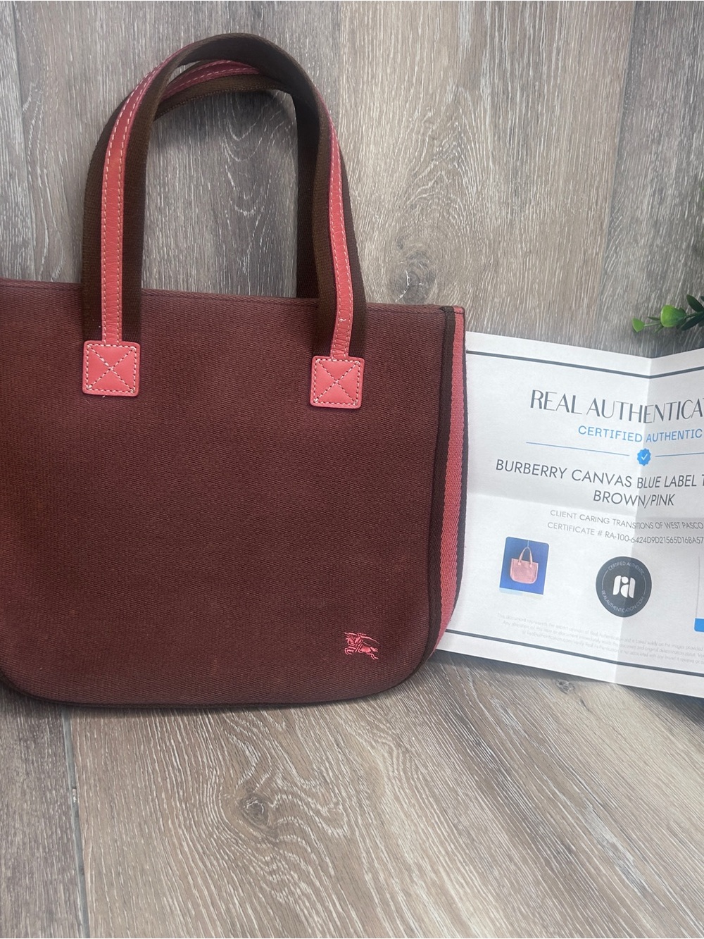 Burberry Blue Label Canvas Tote Bag Brown Pink | Rare Japan Exclusive | w/COA